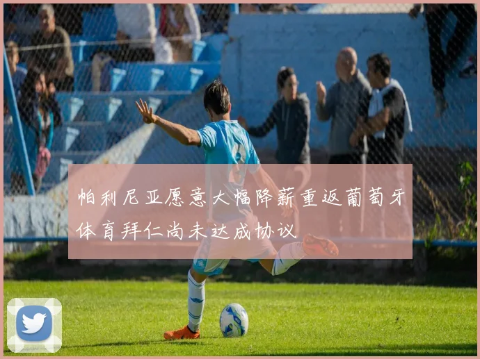 帕利尼亚愿意大幅降薪重返葡萄牙体育拜仁尚未达成协议