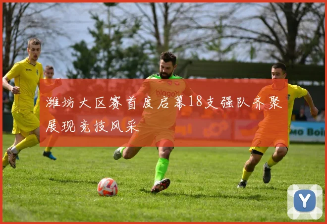 潍坊大区赛首度启幕18支强队齐聚展现竞技风采