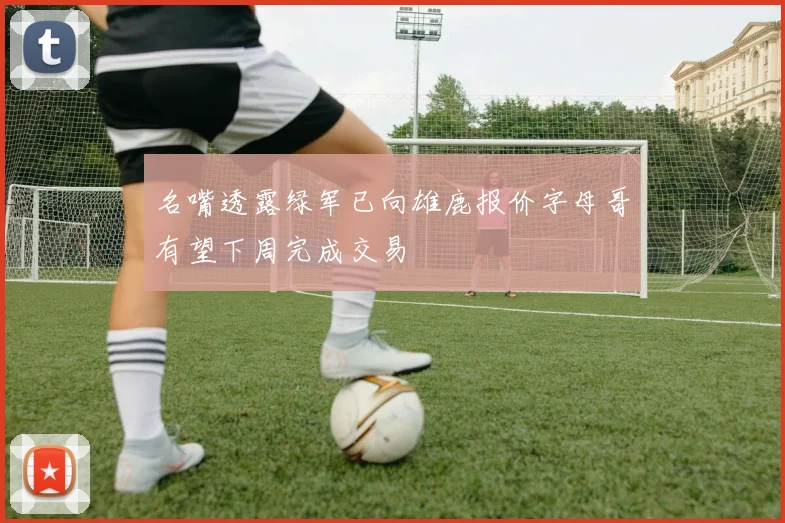 名嘴透露绿军已向雄鹿报价字母哥有望下周完成交易